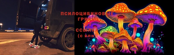 apvp Медногорск