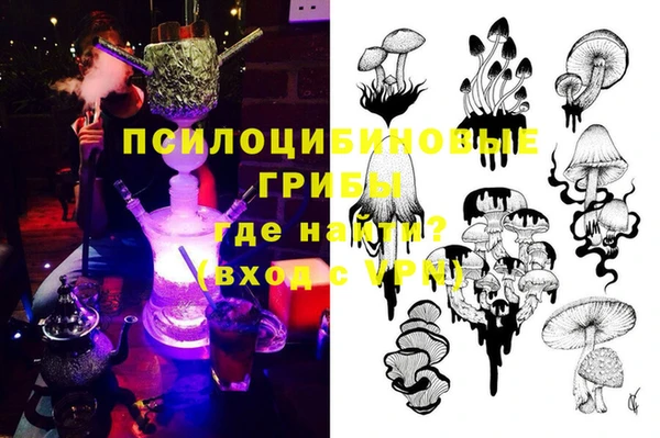 apvp Медногорск