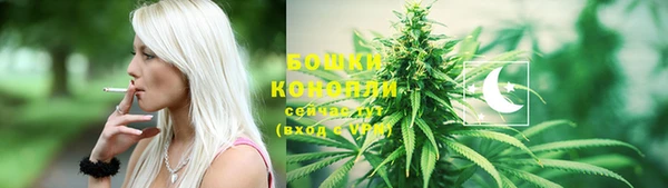 спайс Мегион