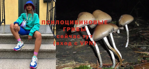 мет Медвежьегорск