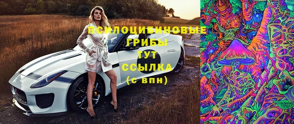 apvp Медногорск