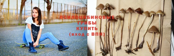 apvp Медногорск