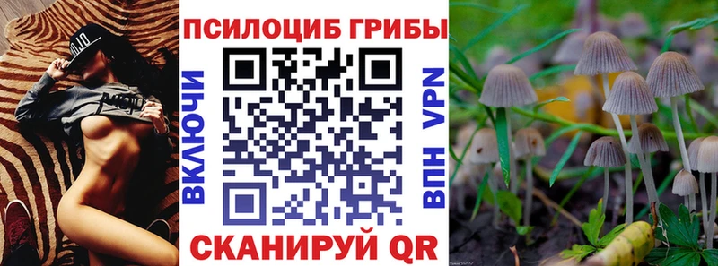 Галлюциногенные грибы Cubensis  кракен ссылки  Нижневартовск 